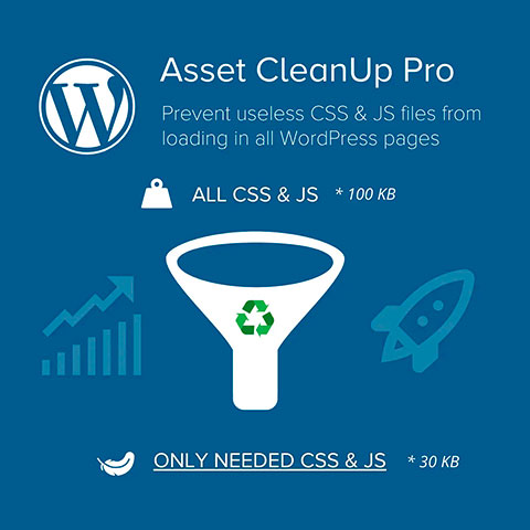 asset-cleanup-pro-wordpress
