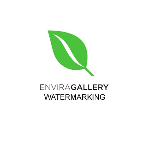 envira-gallery-watermarking