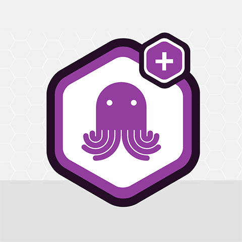 gravity-forms-emailoctopus